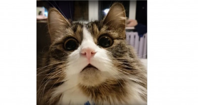 murlock.jpg (234.15 КБ) 12662 просмотра Можно